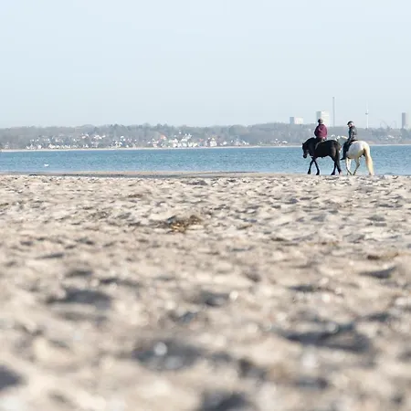 Daire Wohnpark Am Muehlenteich - 28